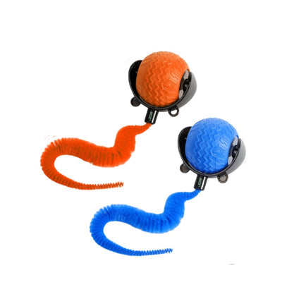 Smart Interactive Toy