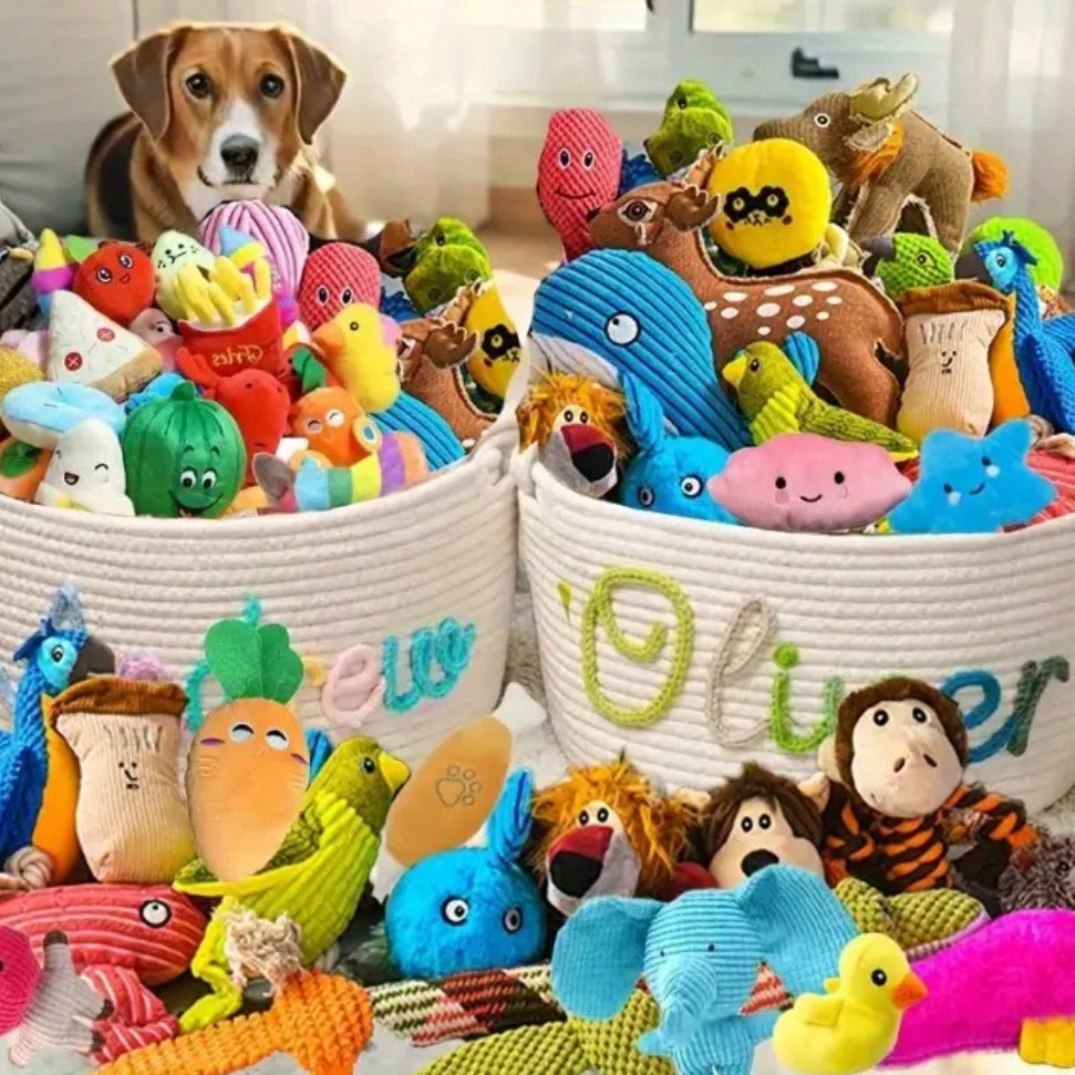 3pcs random Bite-Resistant Dog Toy Set