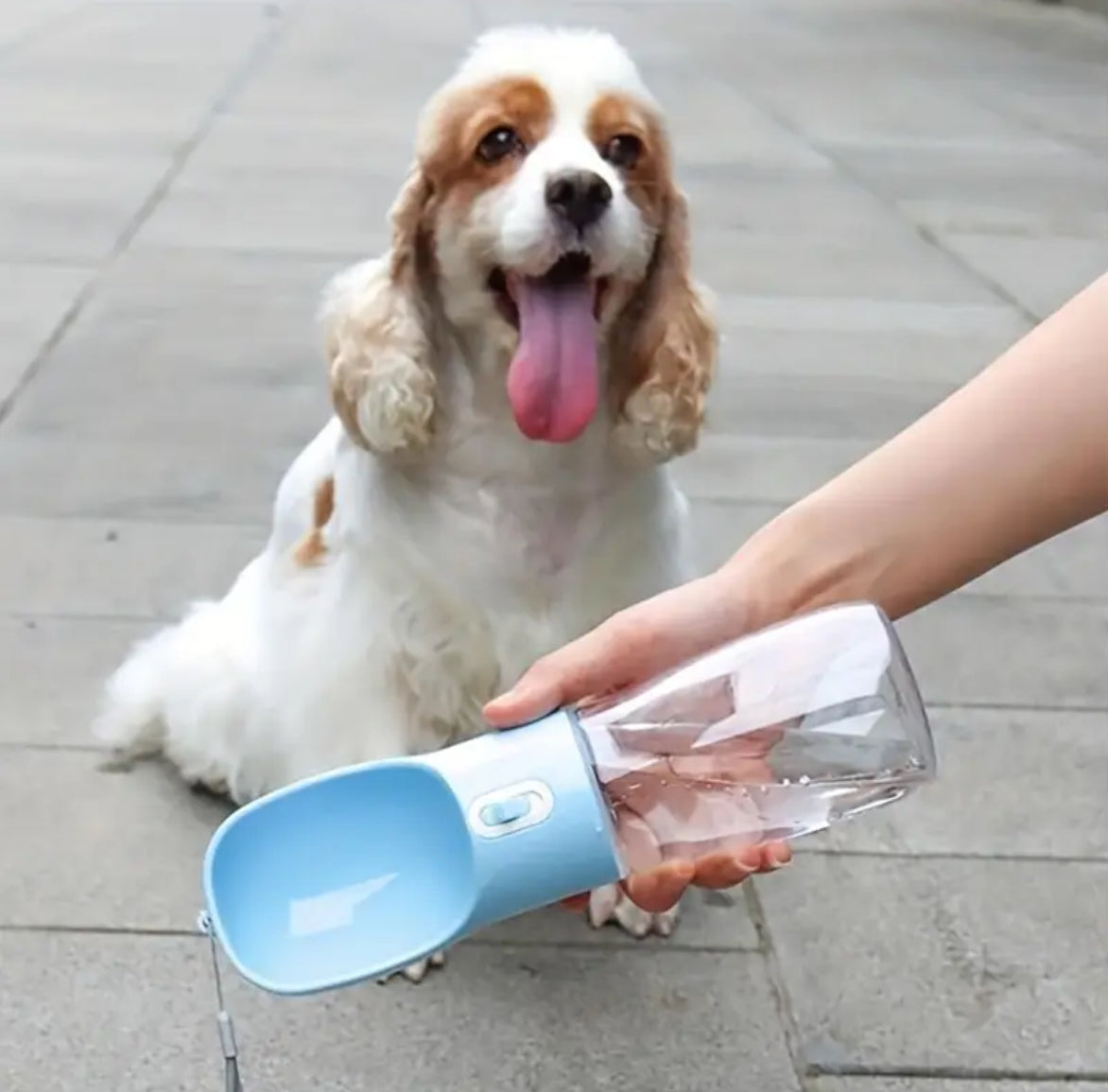 Leakproof Portable Dog Water Bottle